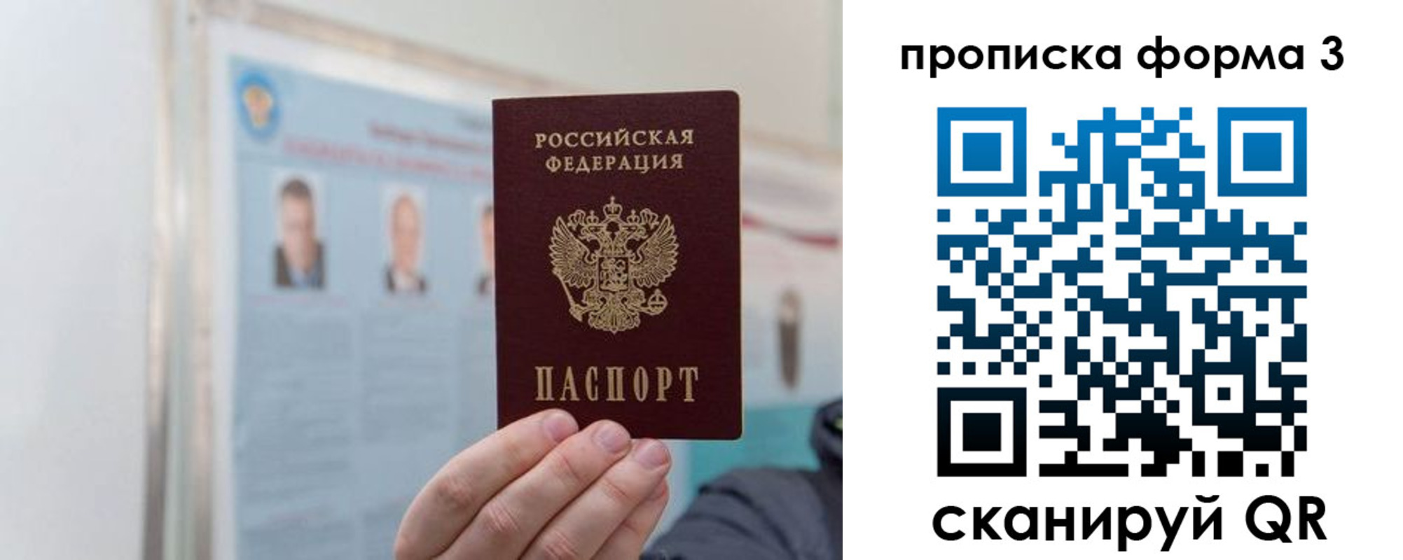 прописка законно в Александровске